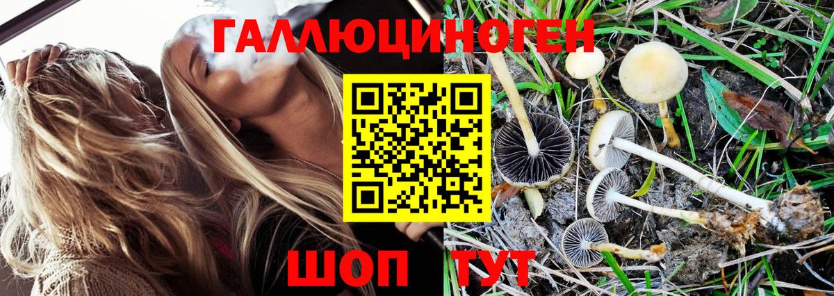 Борисоглебск  Галлюциногенные грибы Psilocybe  Вход с VPN  Псилоцибиновые грибы ЛСД 