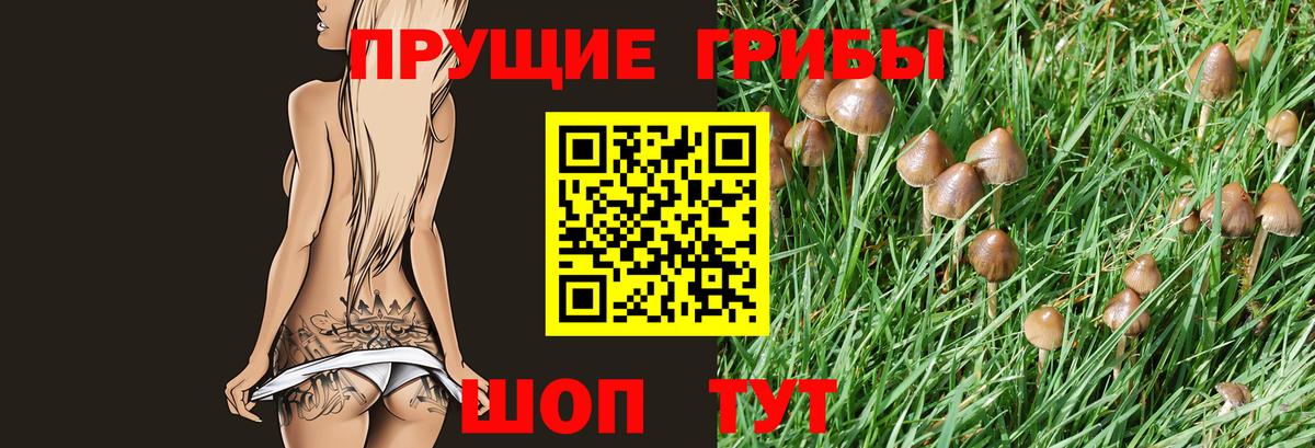Псилоцибиновые грибы Cubensis Борисоглебск